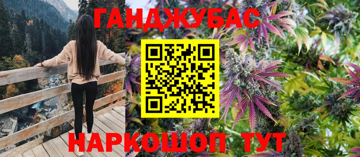 МАРИХУАНА сатива Кашира
