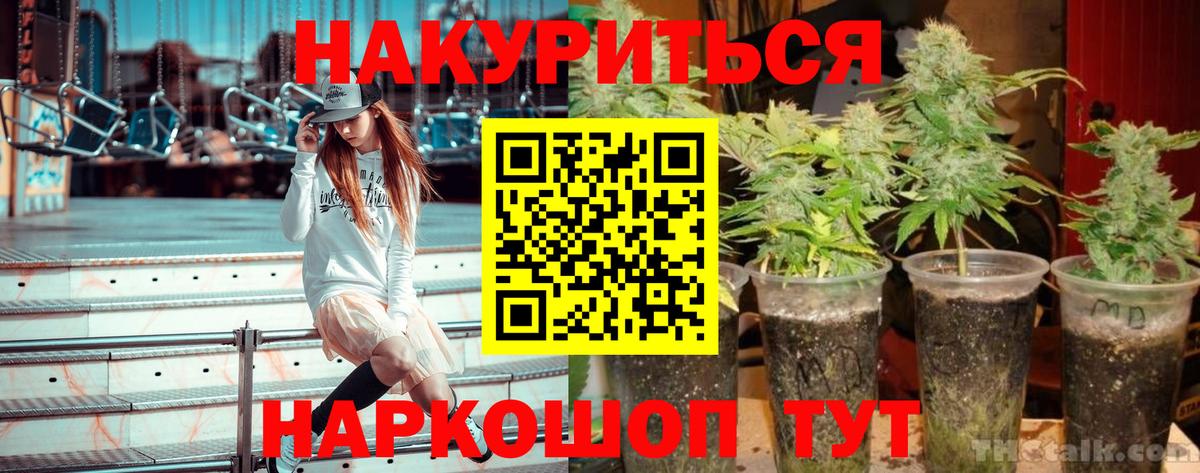 Конопля тримм  Марихуана гибрид  Вход с VPN  Кашира 